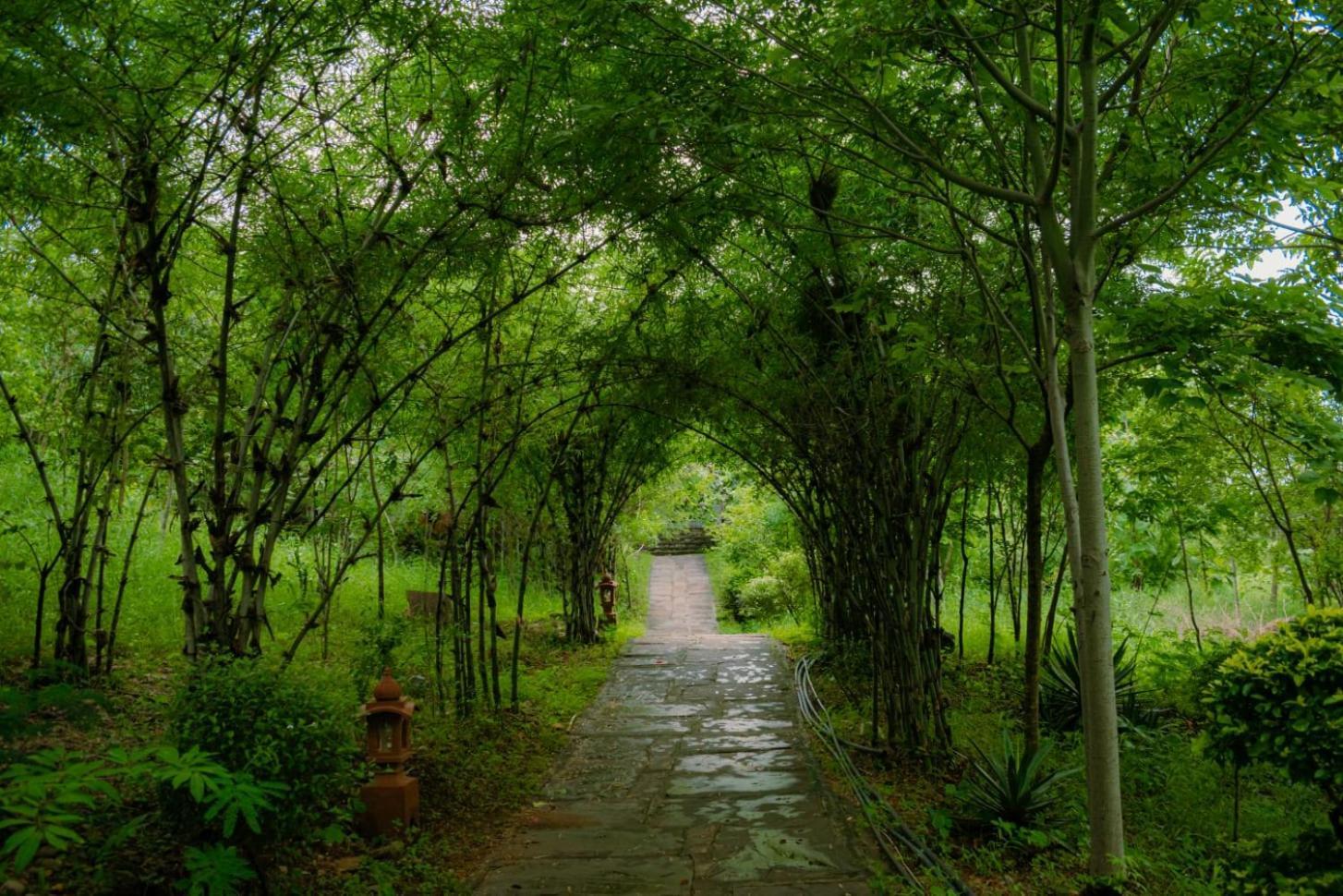 The Sky Imperial Kumbhalmer Resorts Kumbhalgarh Buitenkant foto